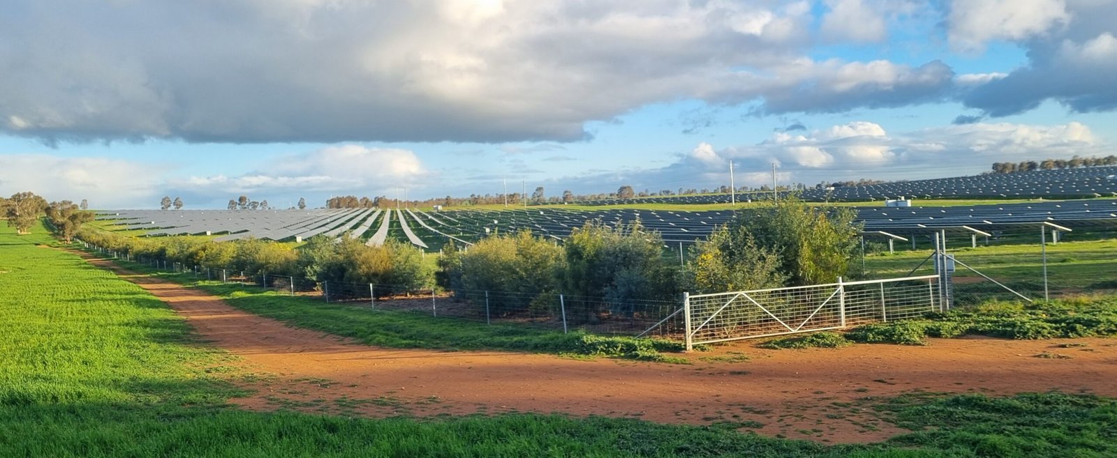 Vegetation screen in solar far Fontenoy Ag and Earth