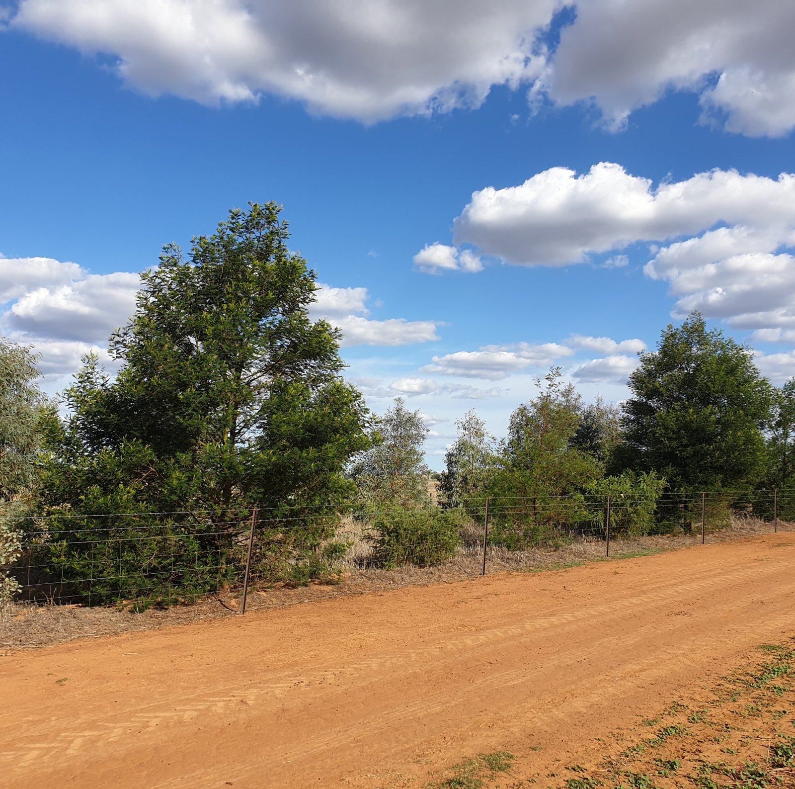 established visual screen landscaping solar farm fontenoy ag and earth