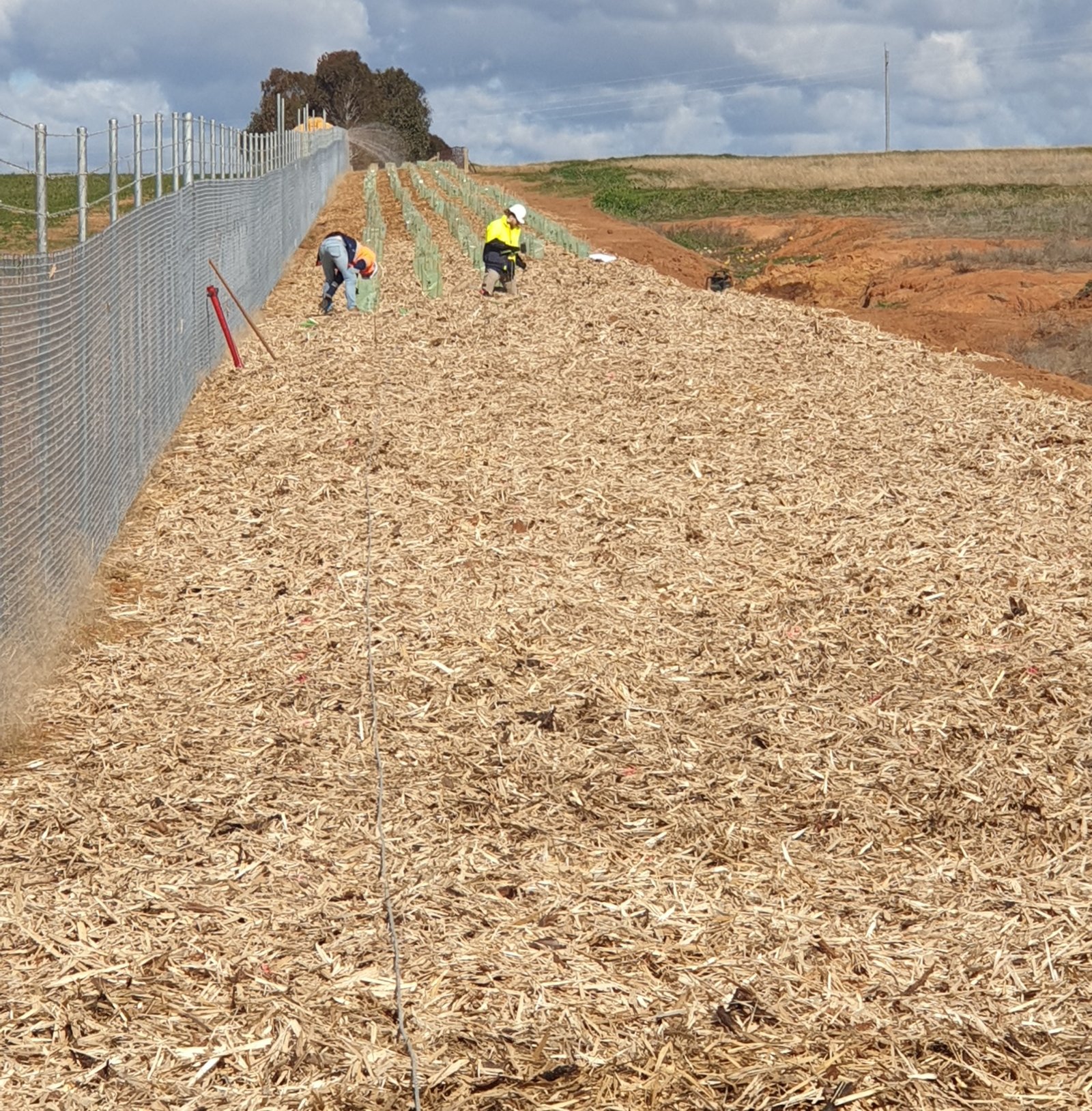 planting visual screen landscaping solar farm fontenoy ag and earth