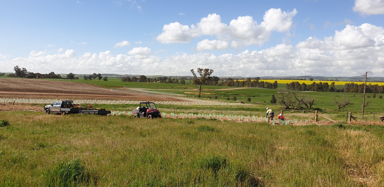 Planted visual screen solar farm fontenoy ag and earth