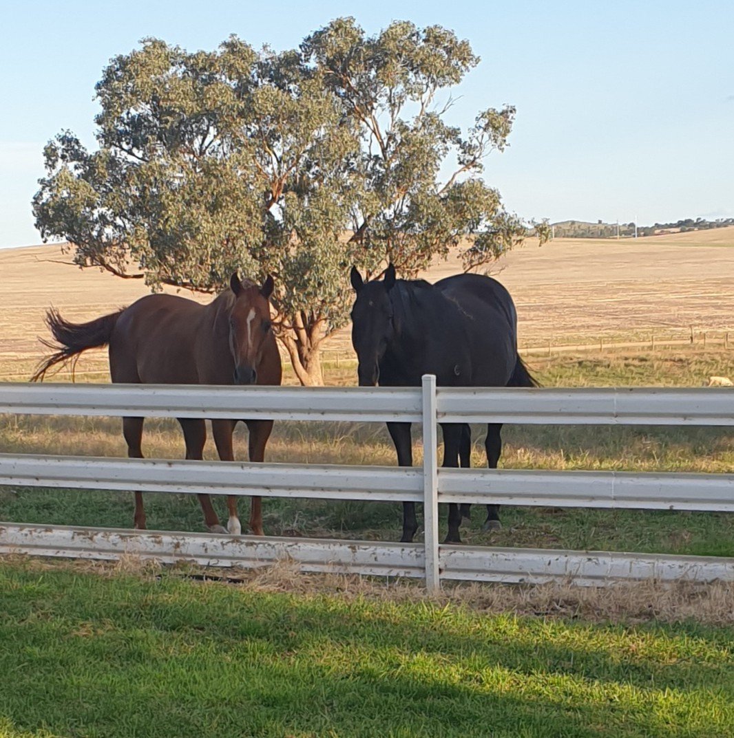 Small acreage maintenance Fontenoy Ag & Earth