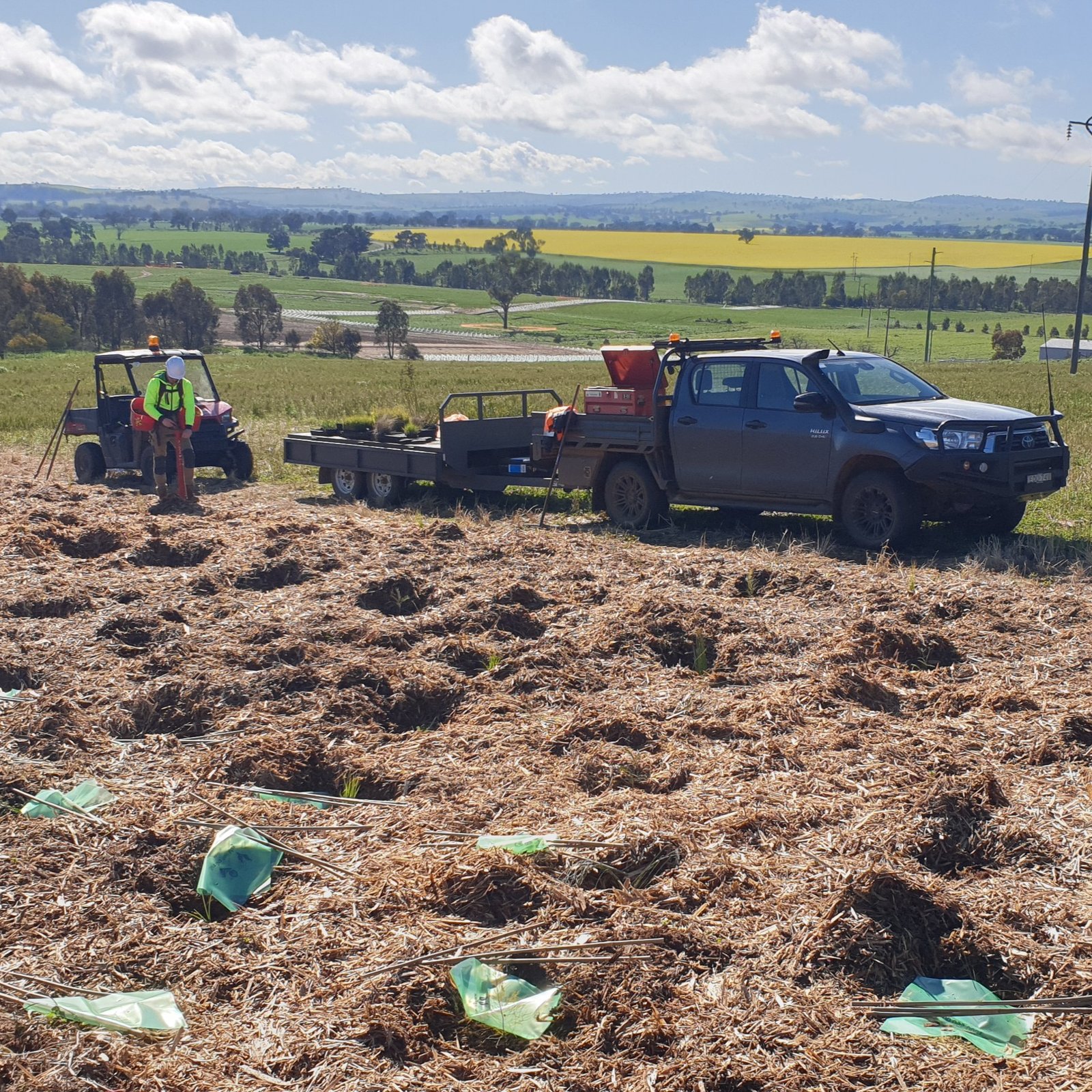 quality expert horticulture degree experienced planting visual screen landscaping solar farm fontenoy ag and earth