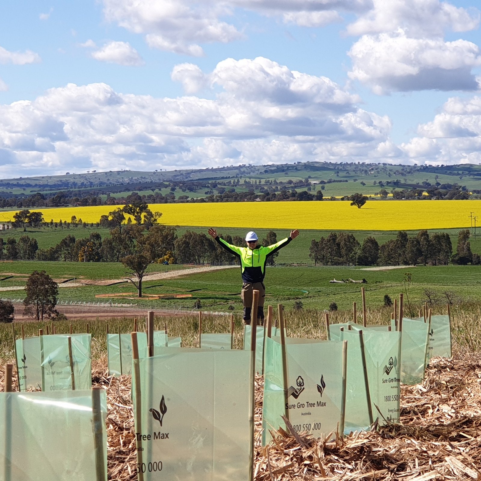 expert horticulture degree experienced planting visual screen landscaping solar farm fontenoy ag and earth