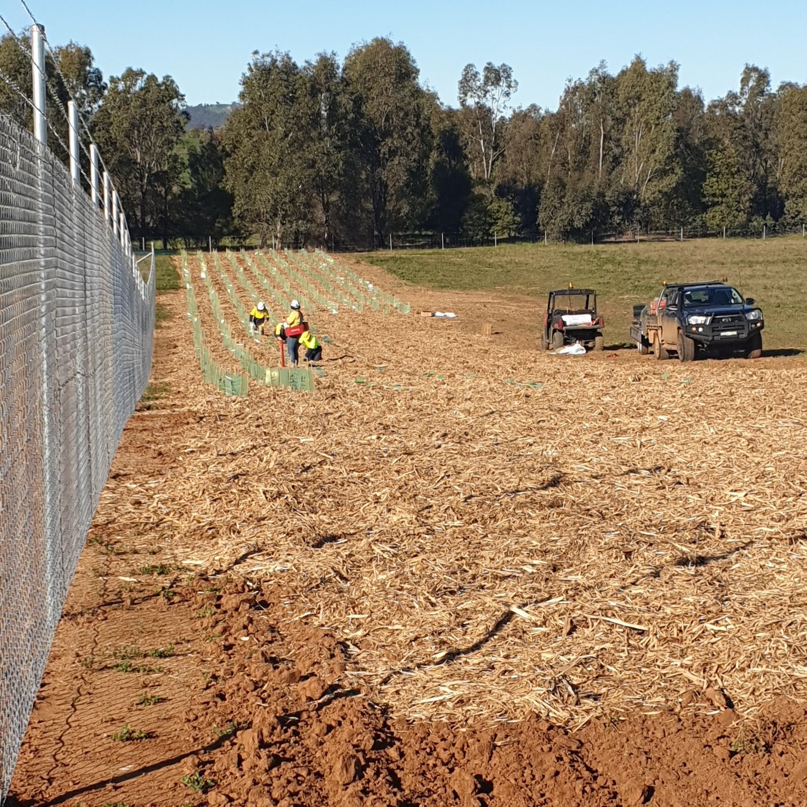 horticulture degree experienced planting visual screen landscaping solar farm fontenoy ag and earth